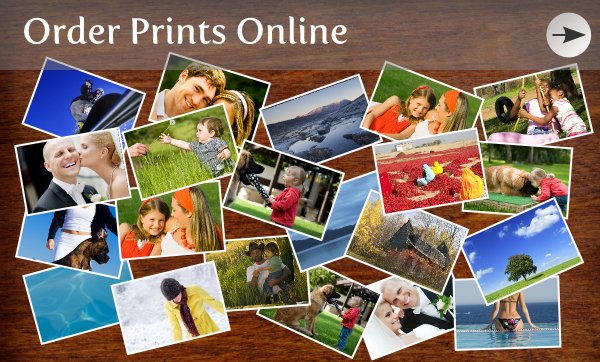 Buford Media Group Photography Prints